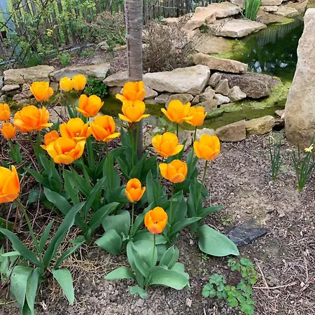 Zur Fleissigen Biene * Meissen