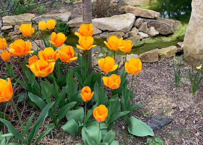 Zur Fleissigen Biene * Meissen