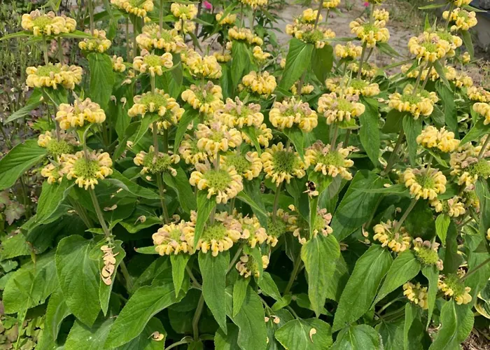 Apartment Zur Fleissigen Biene Meissen