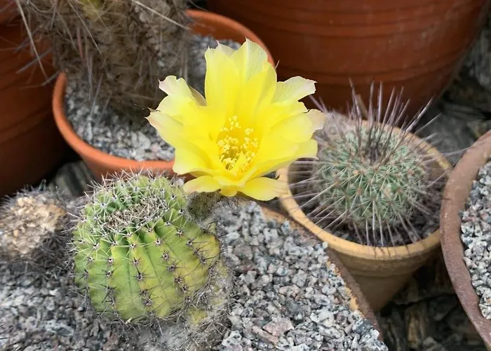 Zur Fleissigen Biene *